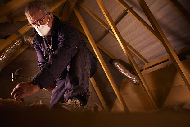 Best Commercial Insulation in Olive Branch, MS